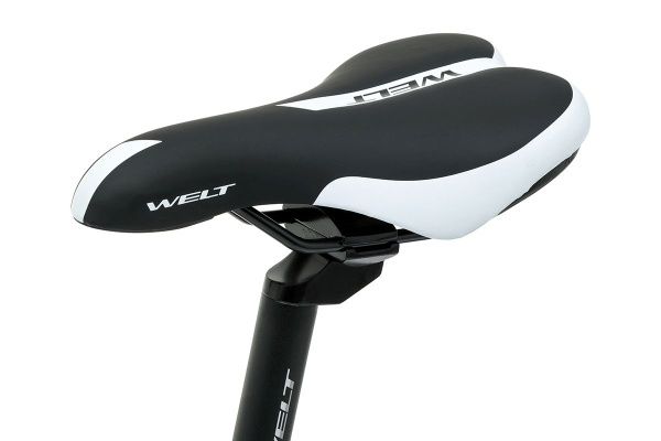 Велосипед Welt Floxy 1.0 24 D (2024)
